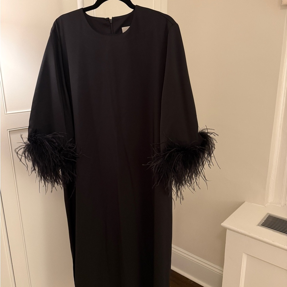 Tuckernuck Black Dress with Feather Trim